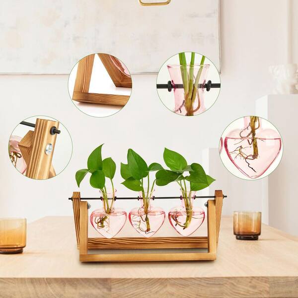 Augbeer 12.8 in. Glass Plant Terrarium with Retro Wooden Stand and