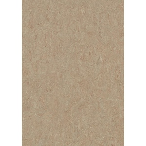Cinch Loc Seal Weathered Sand 9.8 mm T x 11.81 in. W x 35.43 in. L Laminate Flooring (20.34 sq. ft./case)