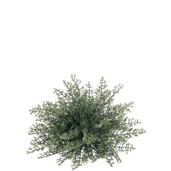 SULLIVANS 6" Artificial Green Cedar Half Orb
