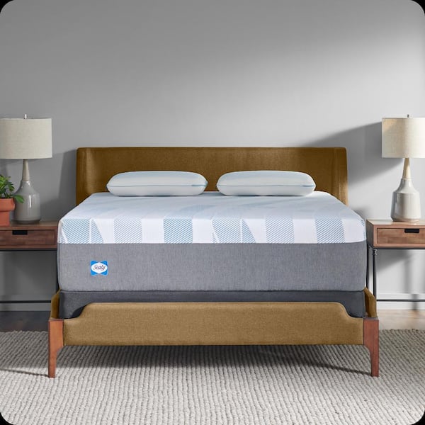 Sealy Dreamlife Twin Soft Memory Foam 14 in. Bed-in-a-Box Mattress