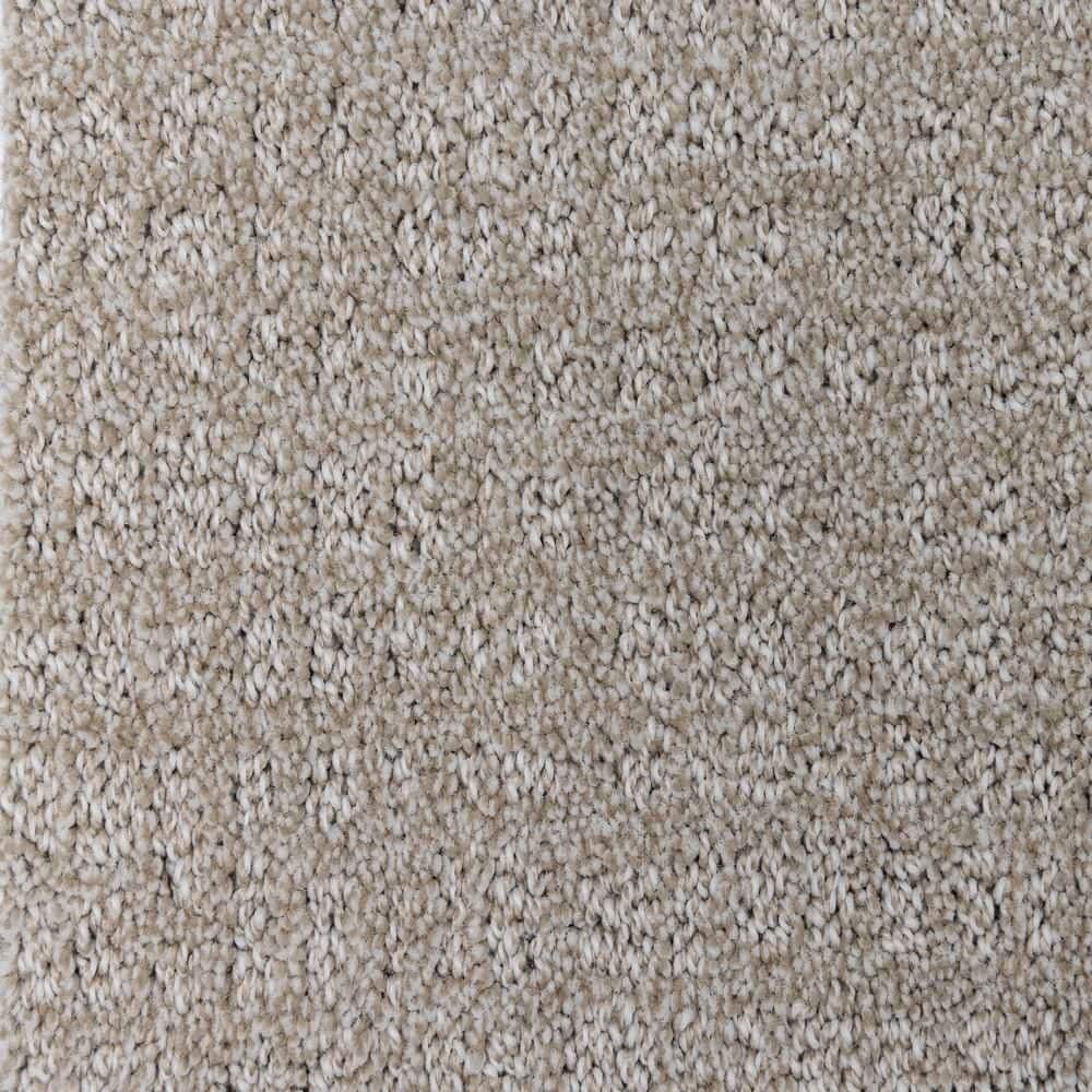 8 in. x  8 in. Pattern Carpet Sample - Wandering Scout -Color Dearborn price history on PriceWatchPro