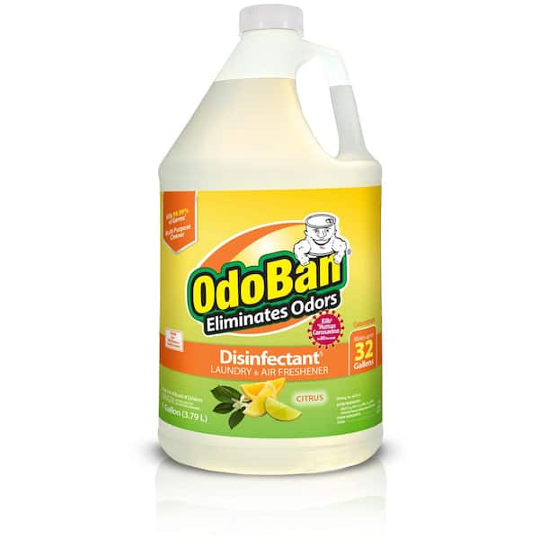 OdoBan 1 Gal. Citrus Disinfectant and Odor Eliminator, Fabric Freshener, Mold Control, Multi-Purpose Cleaner Concentrate