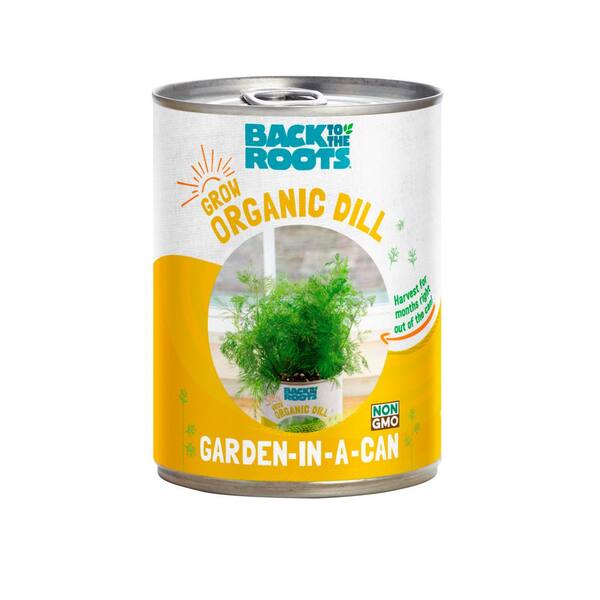 Back to the Roots Garden in a Can Dill