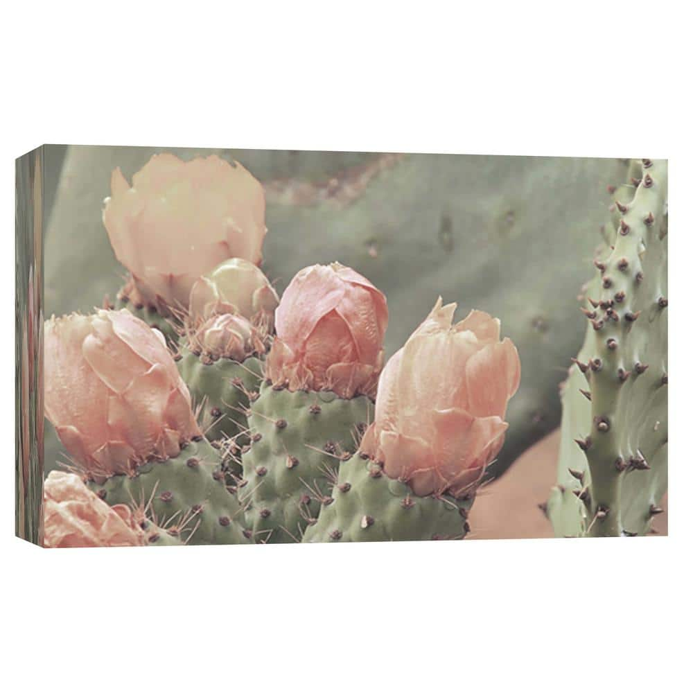 PTM Images 10 in. x 12 in. ''Blush Cactus 4'' Printed Canvas Wall Art 9 ...