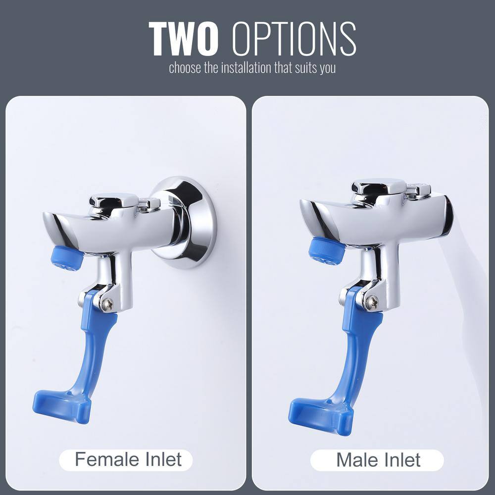 Chrome Wall Mounted Single Handle Pot Filler Faucet