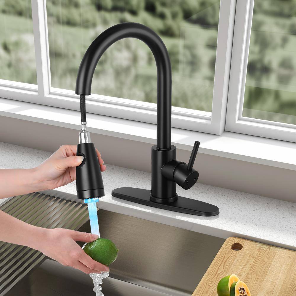 Matte Black High-Arc Single Handle Kitchen Faucet with Pull-out Spray