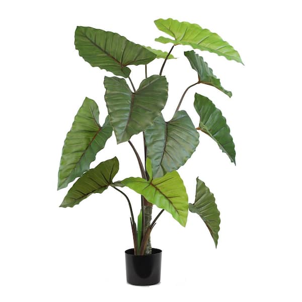 Unbranded The Mod Greenhouse 48 inch Green Artificial Alocasia Tree in Black Matte Planter's Pot
