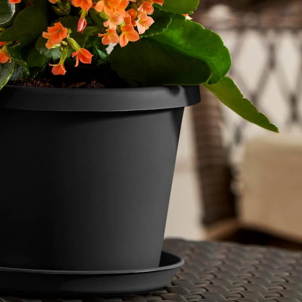 Vigoro Antonella Small Black Plastic Planter with Drainage Hole (6