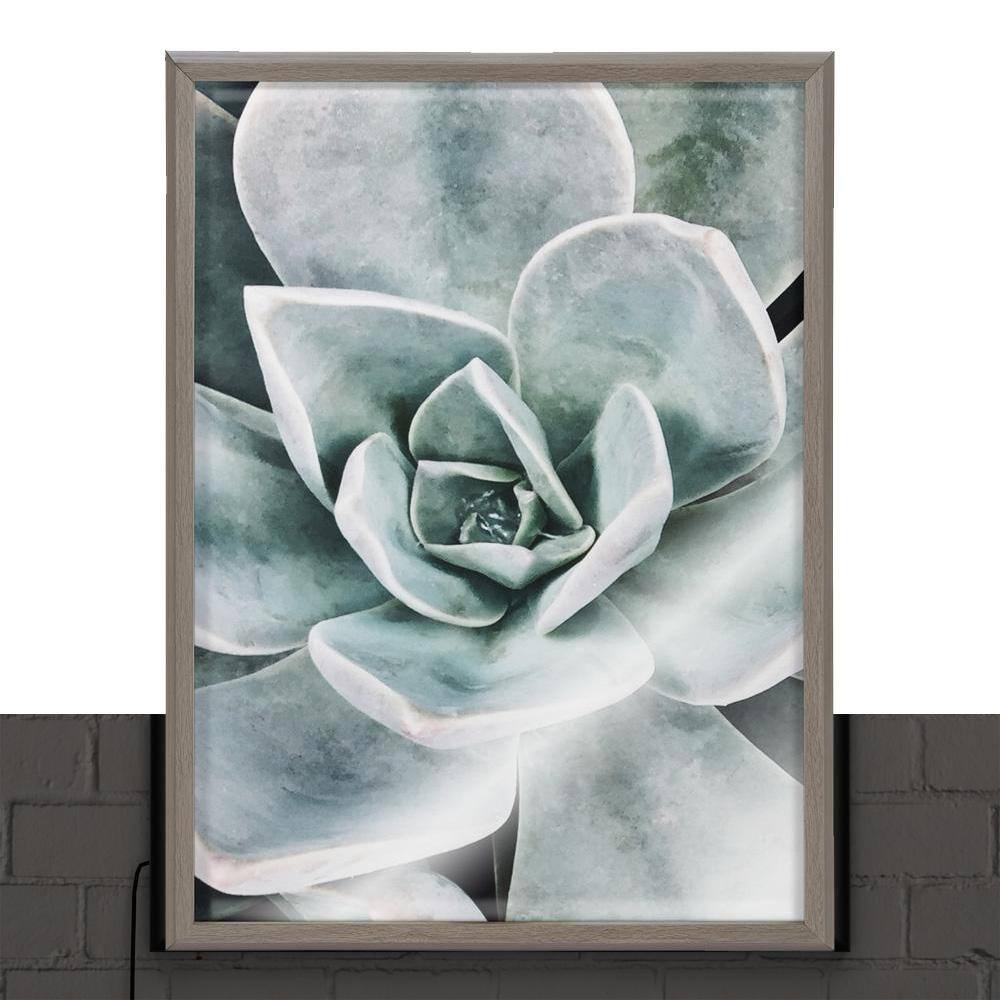 Gray Framed Botanical Succulent Plants Canvas Set