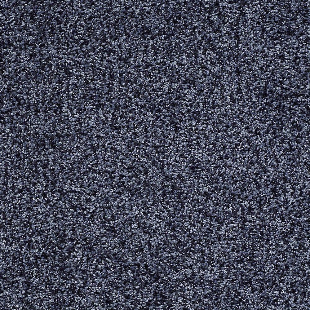 8 in. x 8 in. Twist Carpet Sample - Charming - Color Sapphire price history on PriceWatchPro