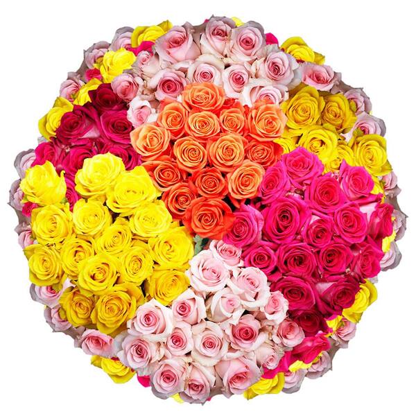 Globalrose 1000 Stems of Assorted Roses Fresh Flower Delivery ...