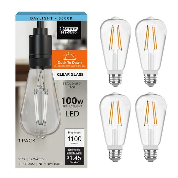 Feit Electric 100-Watt Equivalent ST19 Straight Filament Dusk to Feit Electric 100-Watt Equivalent ST19 Straight Filament Dusk to