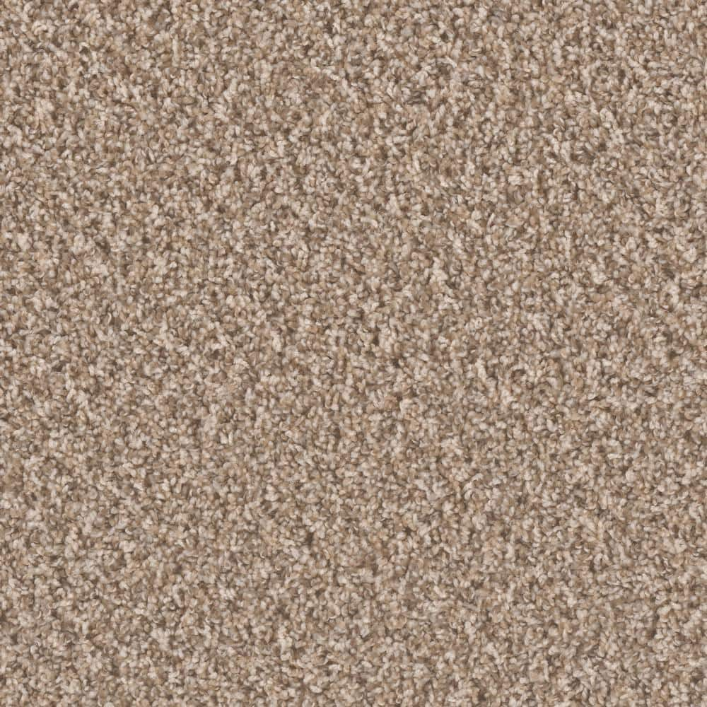 TrafficMaster 8 in. x 8 in. Texture Carpet Sample - Dream Wish -Color ...