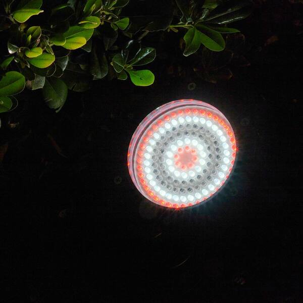 その他 PondPhuwin sticklight Alpine Corporation 8W Outdoor Pond 144 Super Bright LED