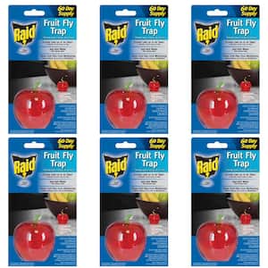 Fruit Fly Apple Design Traps (6-Pack)