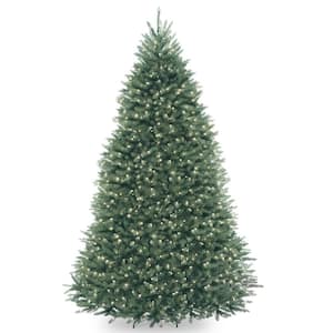 dunhill blue fir christmas tree