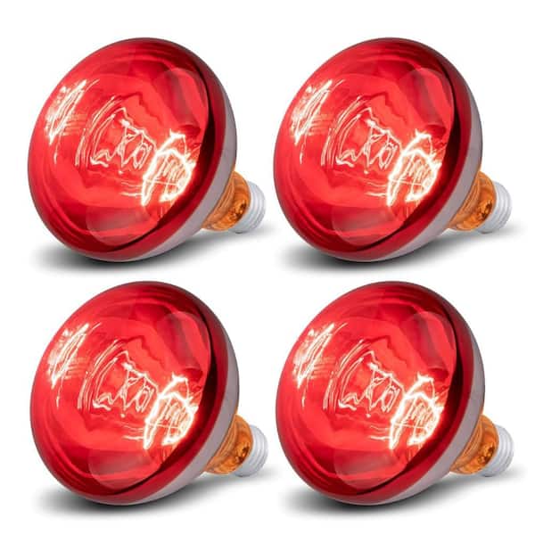 4-Pack 250-Watt Infrared Reflector Heat Lamp Bulbs for Brooder Heater and Bathroom High Heat Efficacy Long Lifespan