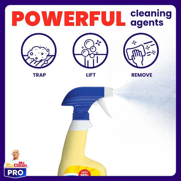 Professional 32 oz. Commercial Surface All Purpose Cleaner