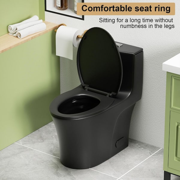 Dual-Flush Elongated 1-Piece Toilet in Matte Black with Water-Saving Soft Closing Seat 1000 Gram Map Flushing Score
