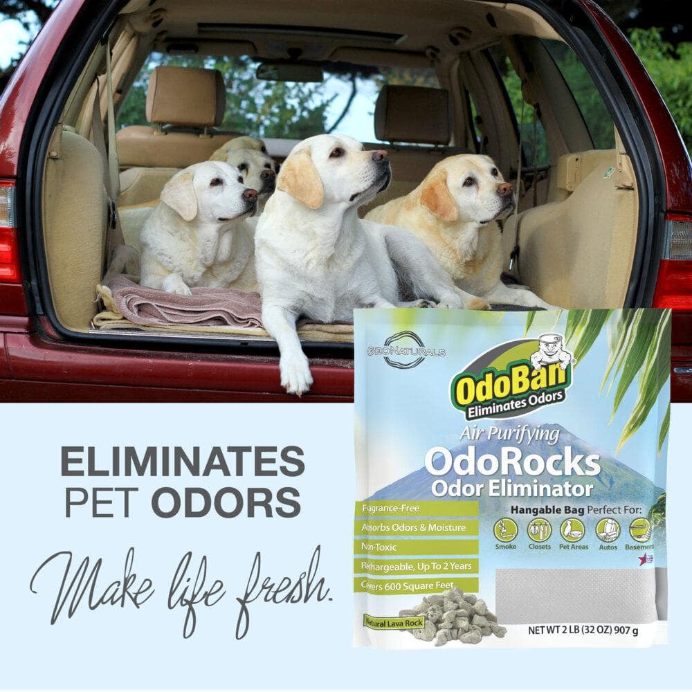 OdoRocks Natural Volcanic Rock Odor Eliminator - Thumbnail 4