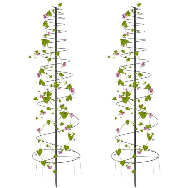73 in. Tall Metal Garden Trellis for Climbing Plants Spiral Design Rust-Proof Support for Vegetables Flowers 2 Pack