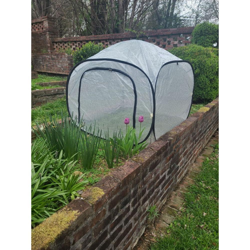 Dalen Pop-Up Mini Greenhouse with Venting Window