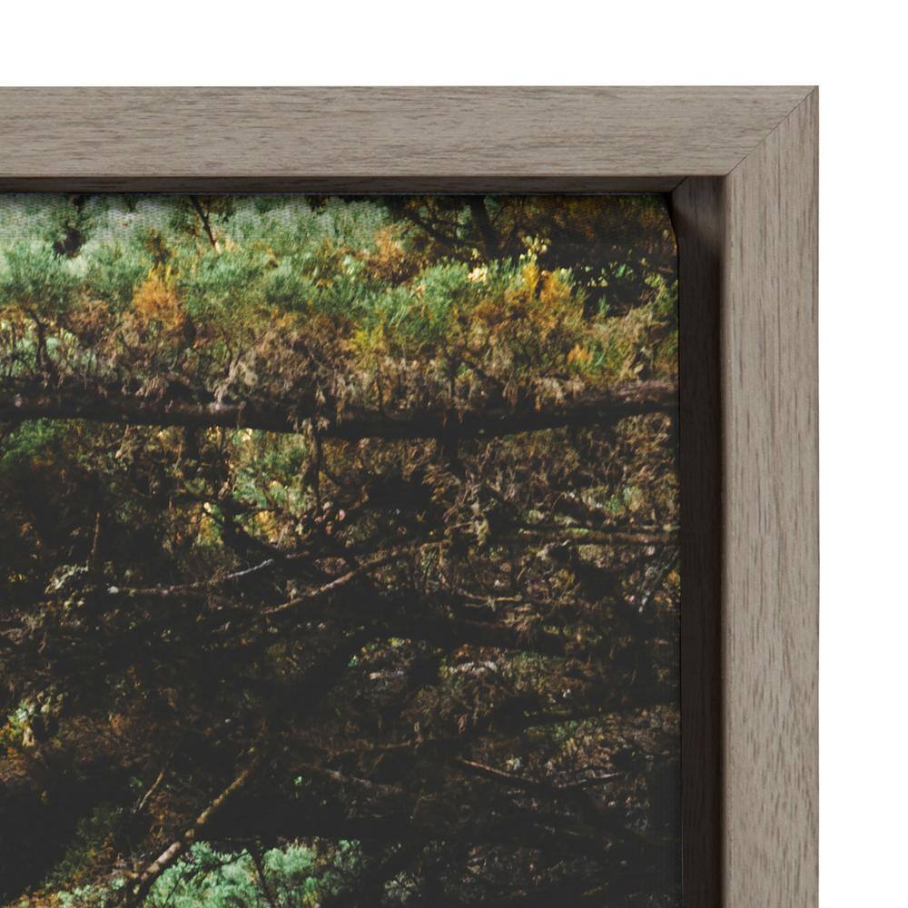 Road Tripping Forest Landscape Framed Canvas Print, 23x33, Gray
