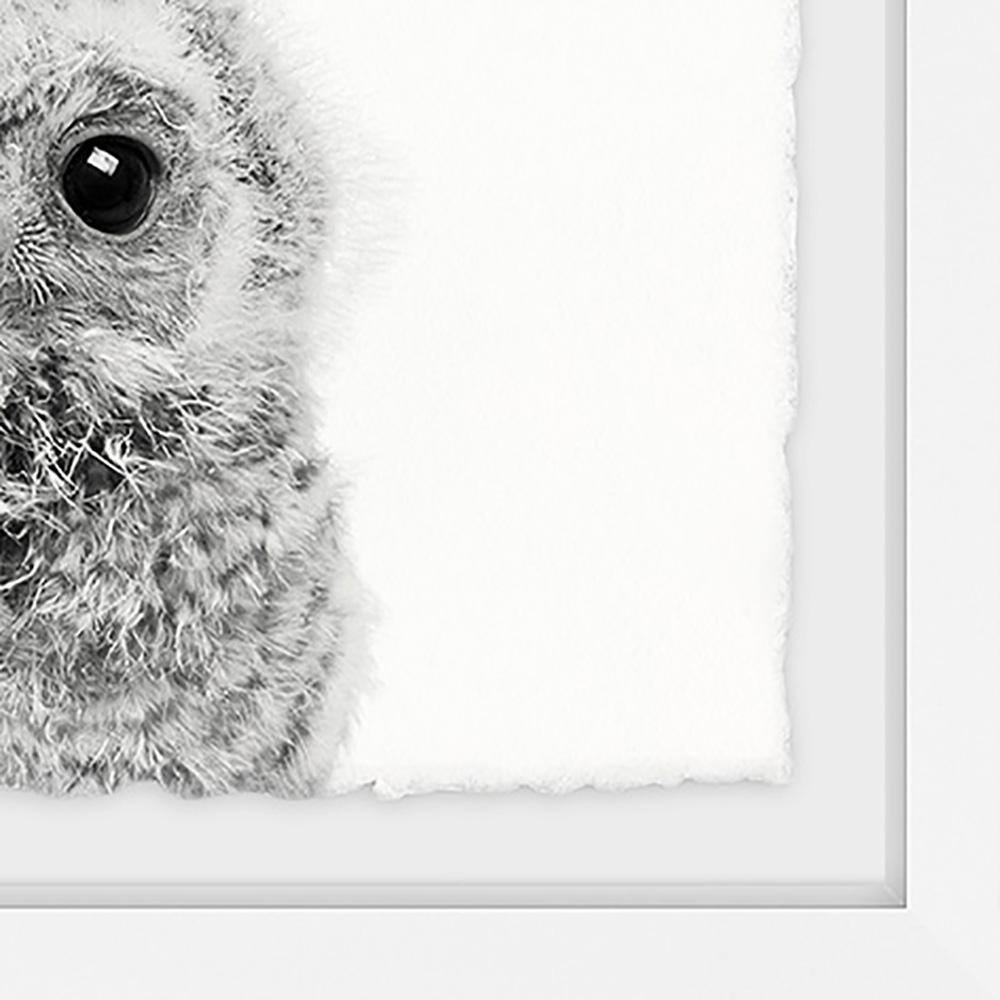20" x 20" Gray and White Owl Framed Canvas Print