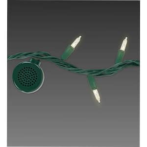 80-Light White Incandescent Light Strand with 4 Bluetooth Speakers