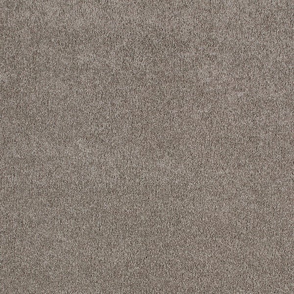 Lifeproof with Petproof Technology Cleoford Marina Gray 47 oz. Triexta Texture Installed Carpet
