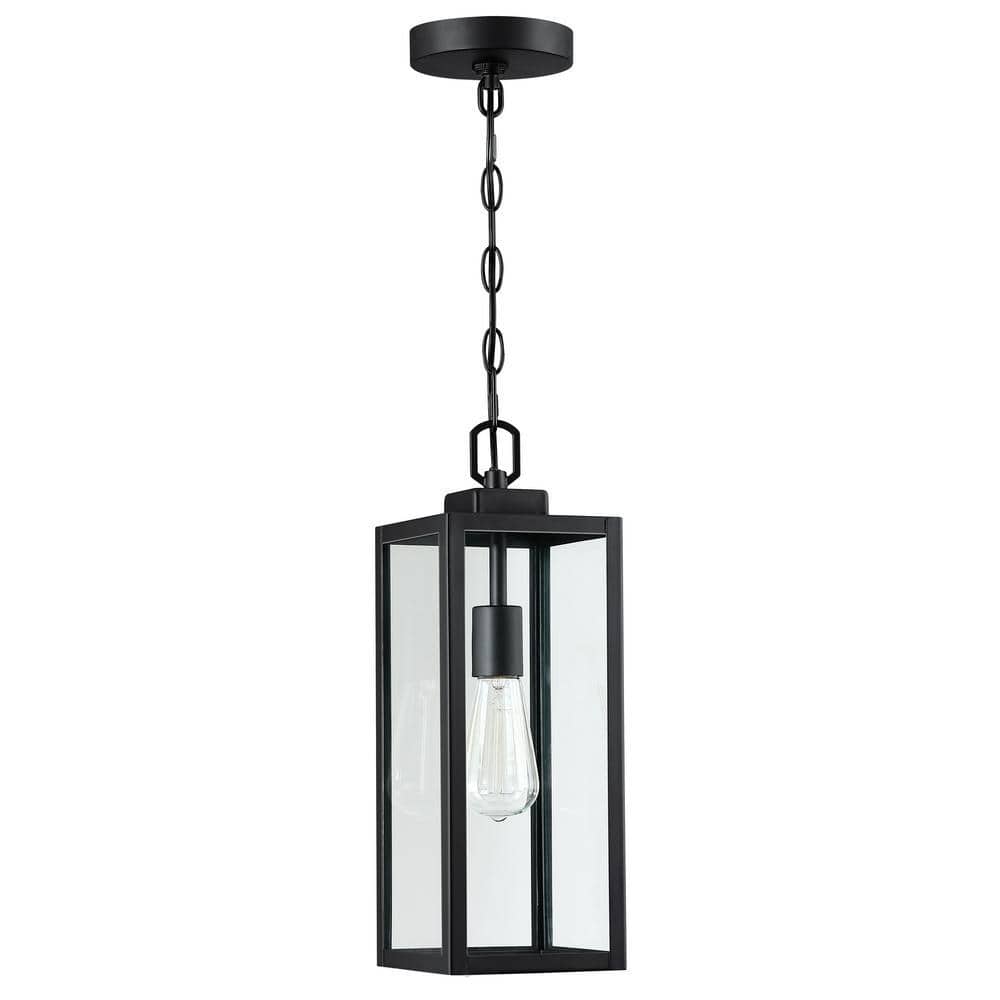 Modern 1-Light Matte Black Outdoor Pendant Light with Clear Glass(1-Pack) price history on PriceWatchPro