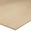 12mm - Sande Plywood ( 1/2 in. Category x 4 ft. x 8 ft.; Actual: 0.472 in. x 48 in. x 96 in.)