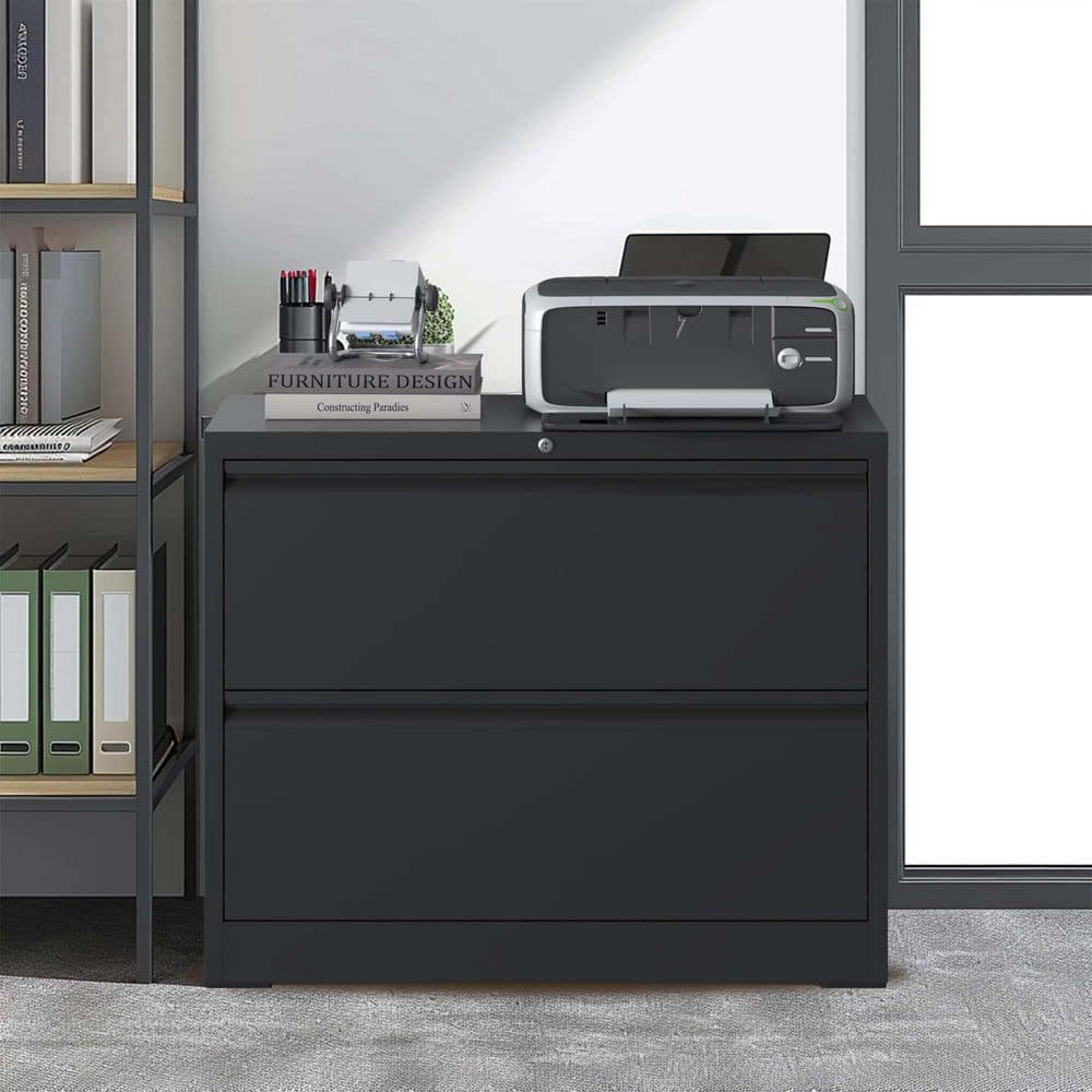 Boyel Living 2-Drawer Black Metal 35.4 in. W Vertical File Cabinet