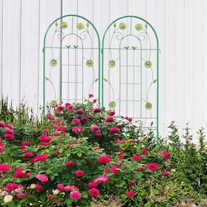 80 in. x 71 in. Metal Garden Rustproof Trellis for Climbing Plants, Green