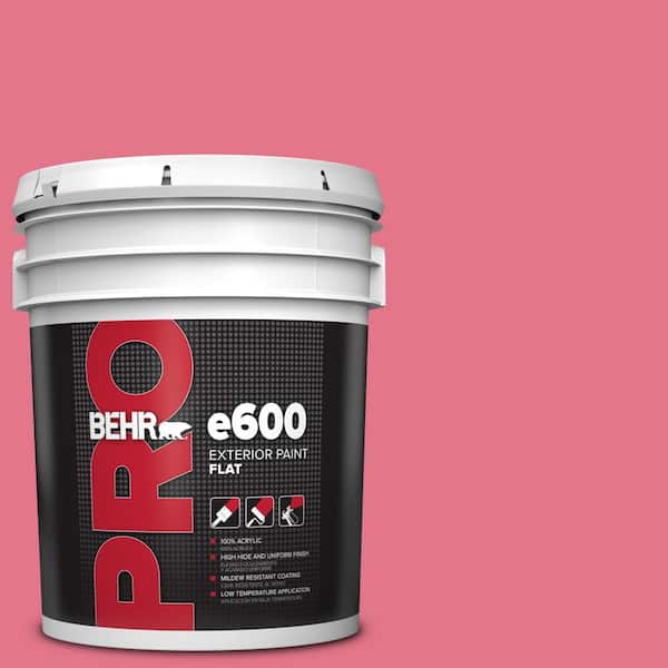 BEHR PRO 5 gal. #120B-6 Watermelon Pink Flat Exterior Paint