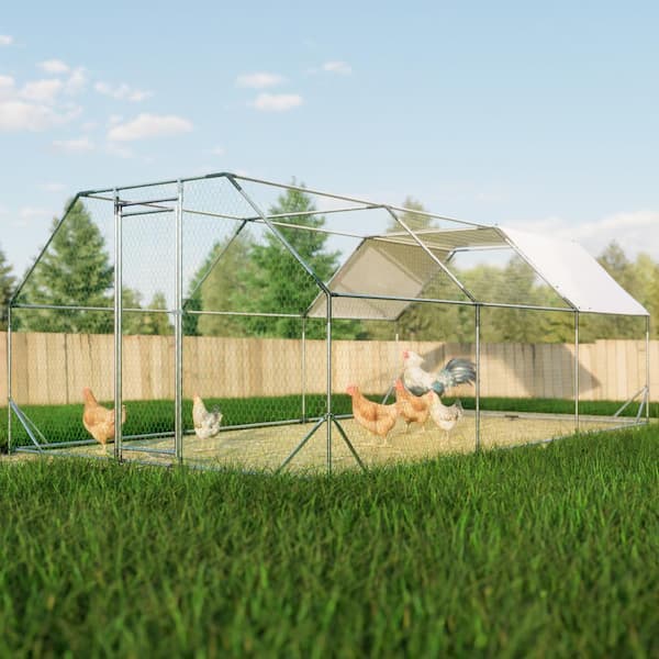 10 ft. x 20 ft. Flat Top Large Metal Walk-in Chicken Coop Galvanized Poultry Cages with Waterproof Cover Outdoor