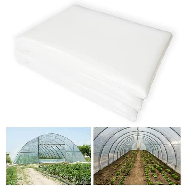 Agfabric 12 ft. x 36 ft. 2.4 mil Plastic Covering Clear Polyethylene Greenhouse Film UV Resistant