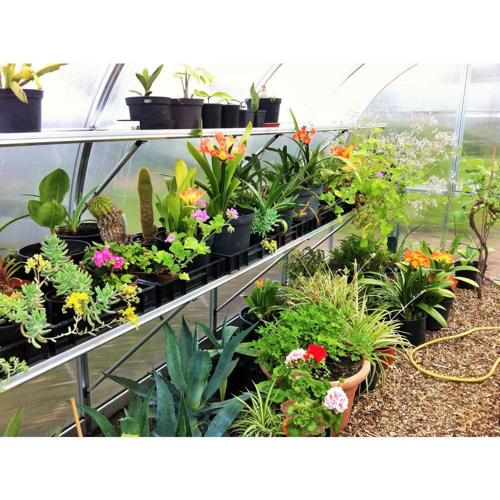 Riga 18 ft Clear Polycarbonate Onion Shape Greenhouse