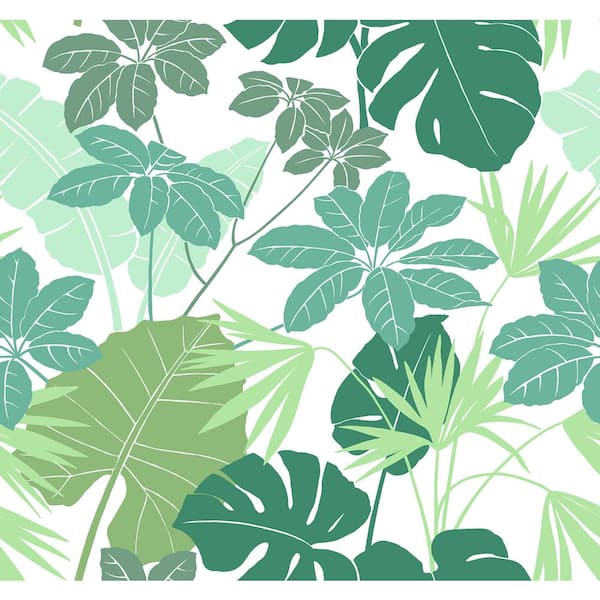 A-Street Prints Medellin Rainforest Floor Green Nonpasted Non Woven Wallpaper Sample