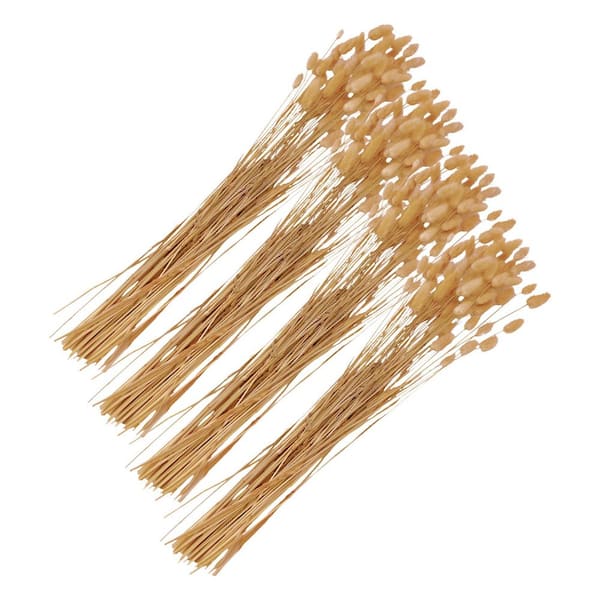 23 in. Pink Indoor Non Artificial Dried Bunny Tails Grass Pack of 4