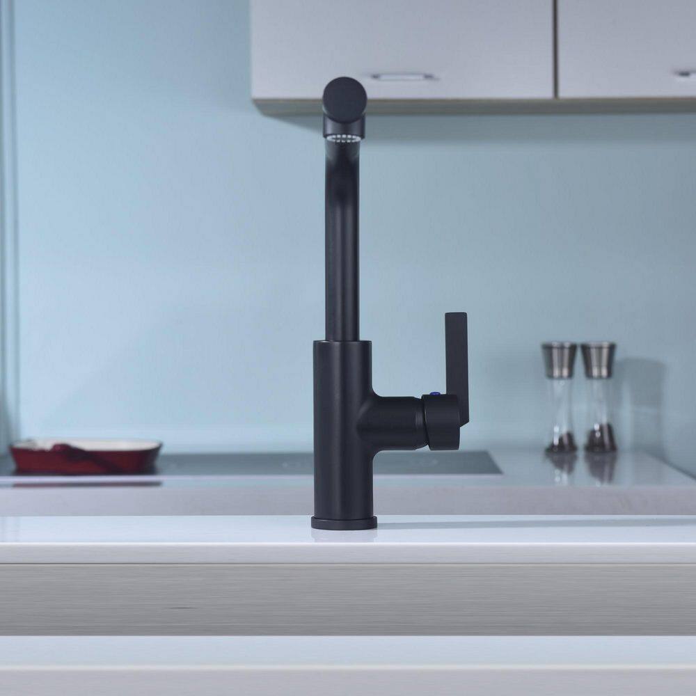 Matte Black Contemporary Pull-Out Kitchen Faucet with Lever Handle