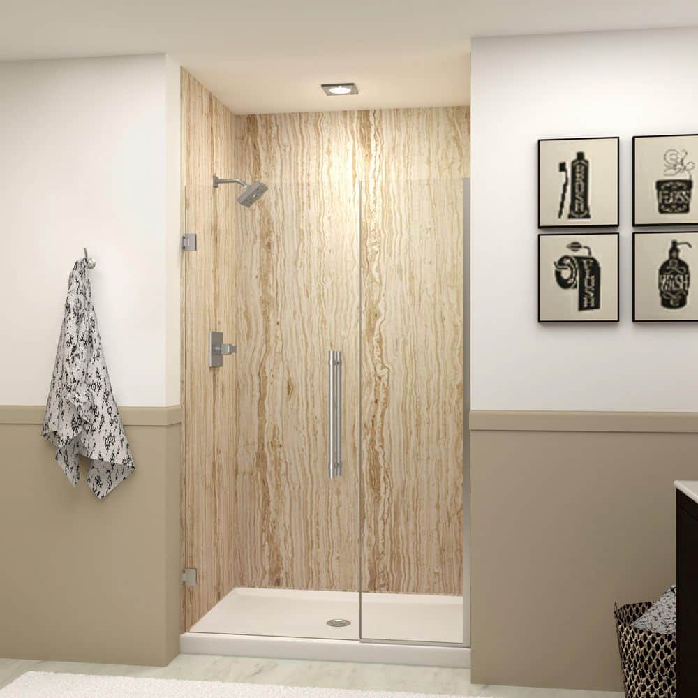 Elizabeth 48 in. W x 76 in. H Hinged Frameless Shower Door in Brushed Stainless with Clear Glass price history on PriceWatchPro