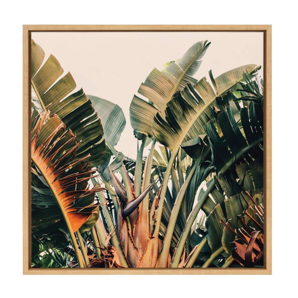 Natural Framed Tropical Botanical Canvas Print, 22x22