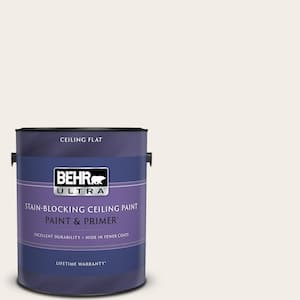 1 gal. #RD-W10 New House White Ceiling Flat Interior Paint with Primer