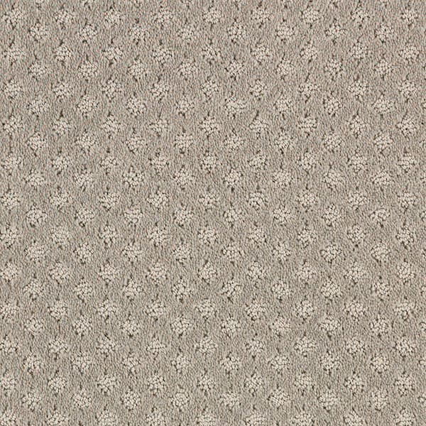 Lifeproof with Petproof Technology 8 in. x 8 in. Pattern Carpet Sample - Transcends Time -Color Southwest