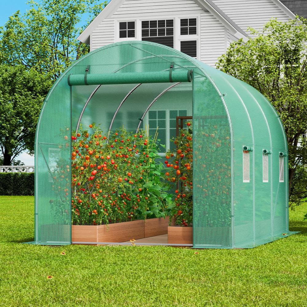 Large Green Walk-In Tunnel Greenhouse with Galvanized Steel Frame