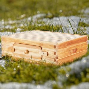 Bee Hive Medium Box Starter Kit, 100% Beeswax Coated Natural Cedar Wood, Langstroth Beehive with 10 Frames & Foundations