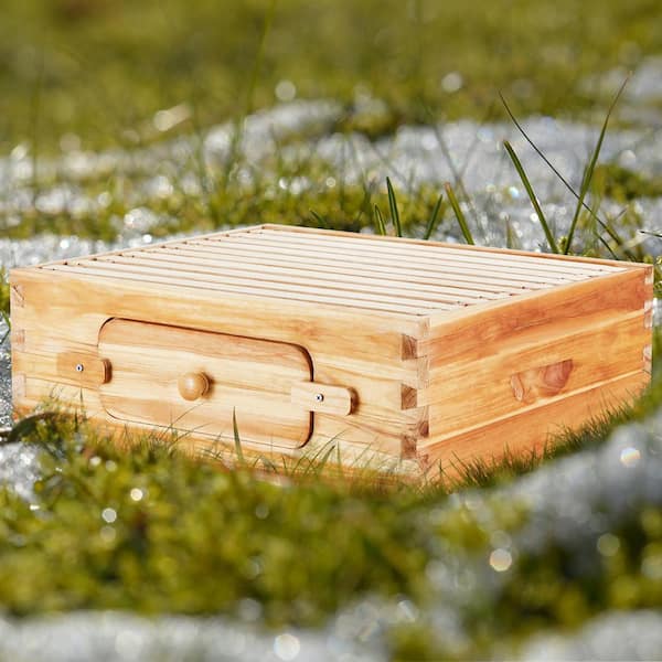Bee Hive Medium Box Starter Kit, 100% Beeswax Coated Natural Cedar Wood, Langstroth Beehive with 10 Frames & Foundations