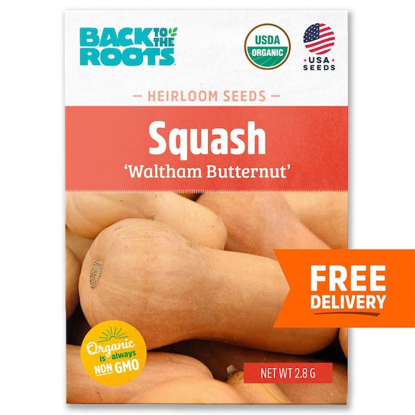 Back to the Roots Organic Winter Waltham Butternut Squash Seed (1-Pack)