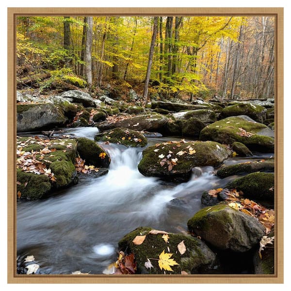 Amanti Art Autumn Rush by Danny Head 22 in. W x 22 in. H. Canvas Wall Art Print Framed in Brown